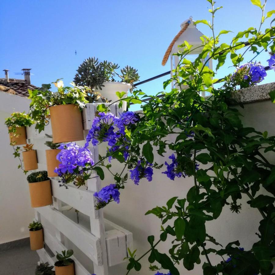 B&B Porta Girone Civitanova Alta Екстериор снимка
