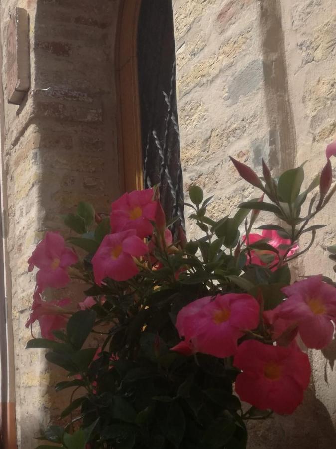 B&B Porta Girone Civitanova Alta Екстериор снимка